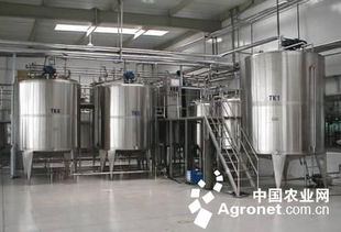 我國果蔬加工業需加快科技創新 圖
